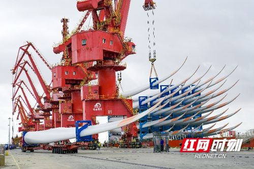 株洲税务创新实施“四步法”，全面提升技术进出口出口退税风险防控能力